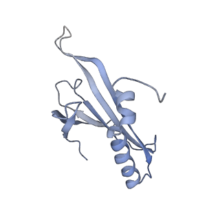 8709_5vlz_AI_v1-5
Backbone model for phage Qbeta capsid