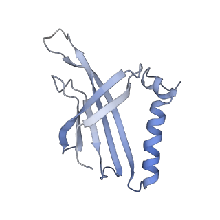 8709_5vlz_AK_v1-4
Backbone model for phage Qbeta capsid