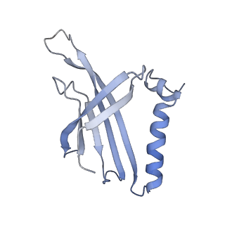 8709_5vlz_AK_v1-5
Backbone model for phage Qbeta capsid