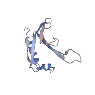 8709_5vlz_AL_v1-4
Backbone model for phage Qbeta capsid