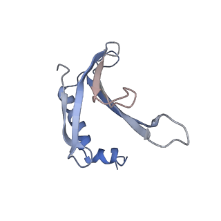 8709_5vlz_AL_v1-5
Backbone model for phage Qbeta capsid