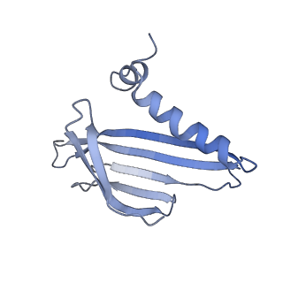 8709_5vlz_AM_v1-5
Backbone model for phage Qbeta capsid