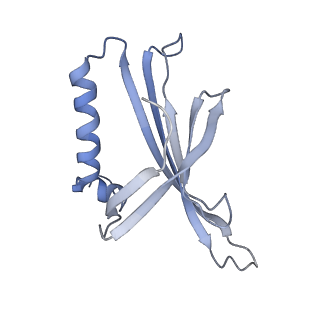 8709_5vlz_AN_v1-4
Backbone model for phage Qbeta capsid