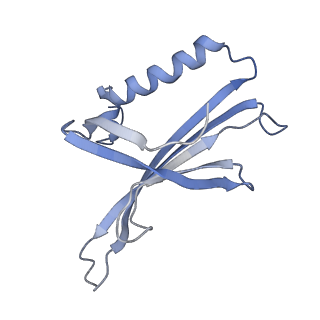 8709_5vlz_BB_v1-4
Backbone model for phage Qbeta capsid