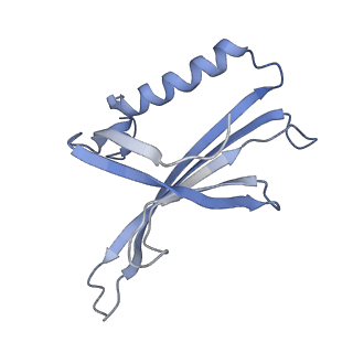 8709_5vlz_BB_v1-5
Backbone model for phage Qbeta capsid