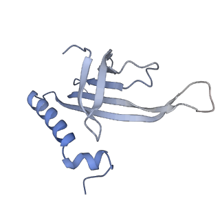 8709_5vlz_BC_v1-4
Backbone model for phage Qbeta capsid
