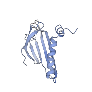 8709_5vlz_BD_v1-5
Backbone model for phage Qbeta capsid