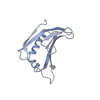 8709_5vlz_BE_v1-4
Backbone model for phage Qbeta capsid