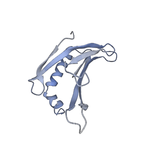 8709_5vlz_BE_v1-5
Backbone model for phage Qbeta capsid