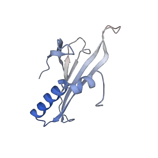 8709_5vlz_BF_v1-4
Backbone model for phage Qbeta capsid