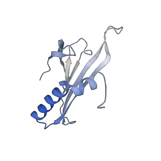 8709_5vlz_BF_v1-5
Backbone model for phage Qbeta capsid