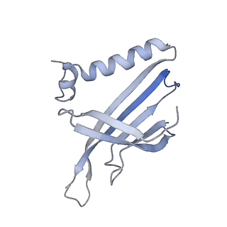 8709_5vlz_BH_v1-4
Backbone model for phage Qbeta capsid