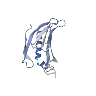 8709_5vlz_BJ_v1-4
Backbone model for phage Qbeta capsid
