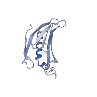 8709_5vlz_BJ_v1-5
Backbone model for phage Qbeta capsid