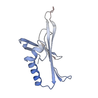 8709_5vlz_BK_v1-4
Backbone model for phage Qbeta capsid