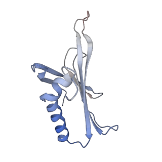 8709_5vlz_BK_v1-5
Backbone model for phage Qbeta capsid