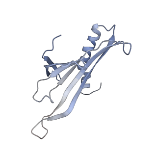8709_5vlz_BL_v1-4
Backbone model for phage Qbeta capsid