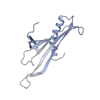 8709_5vlz_BL_v1-5
Backbone model for phage Qbeta capsid