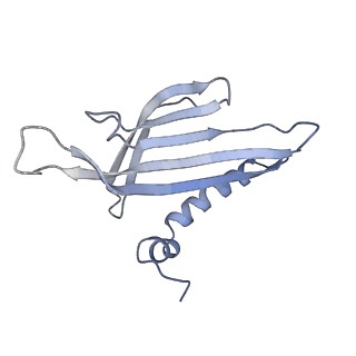 8709_5vlz_CA_v1-5
Backbone model for phage Qbeta capsid