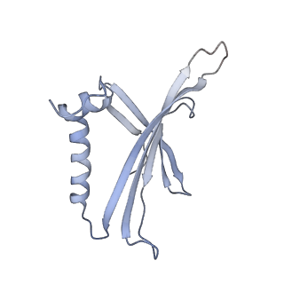 8709_5vlz_CB_v1-4
Backbone model for phage Qbeta capsid