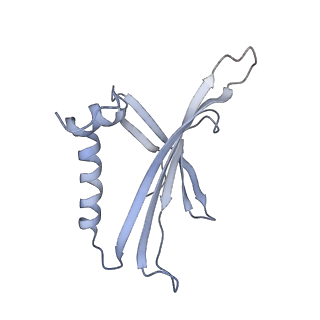 8709_5vlz_CB_v1-5
Backbone model for phage Qbeta capsid