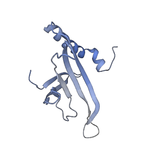 8709_5vlz_CC_v1-4
Backbone model for phage Qbeta capsid
