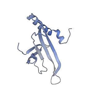 8709_5vlz_CC_v1-5
Backbone model for phage Qbeta capsid