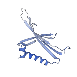 8709_5vlz_CD_v1-4
Backbone model for phage Qbeta capsid