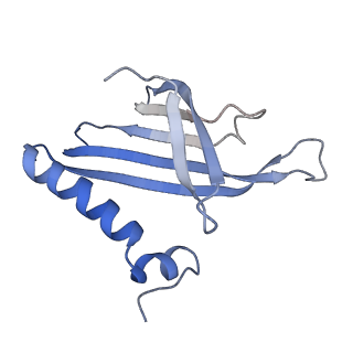 8709_5vlz_CE_v1-4
Backbone model for phage Qbeta capsid