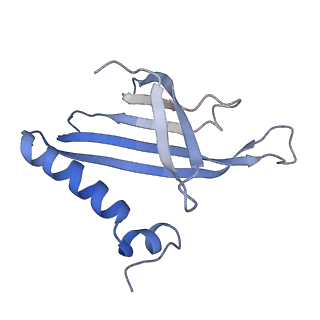 8709_5vlz_CE_v1-5
Backbone model for phage Qbeta capsid