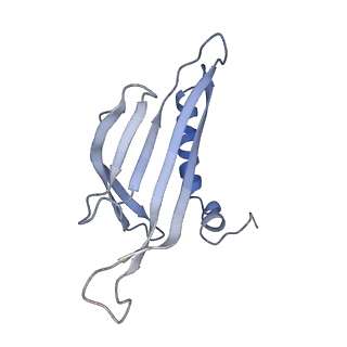 8709_5vlz_CG_v1-4
Backbone model for phage Qbeta capsid