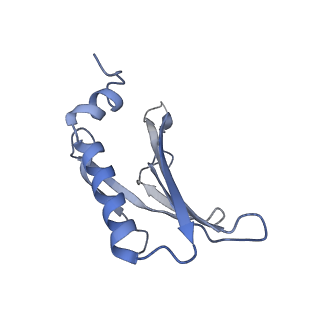 8709_5vlz_CH_v1-4
Backbone model for phage Qbeta capsid
