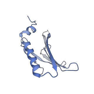 8709_5vlz_CH_v1-5
Backbone model for phage Qbeta capsid