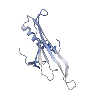 8709_5vlz_CI_v1-4
Backbone model for phage Qbeta capsid