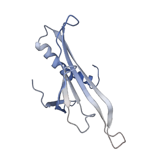 8709_5vlz_CI_v1-5
Backbone model for phage Qbeta capsid