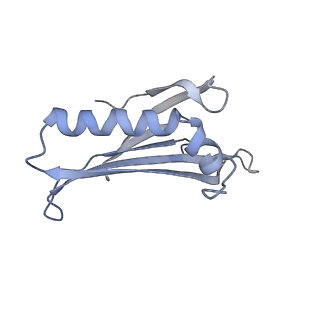8709_5vlz_CK_v1-4
Backbone model for phage Qbeta capsid
