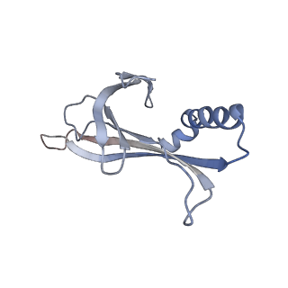 8709_5vlz_CL_v1-5
Backbone model for phage Qbeta capsid