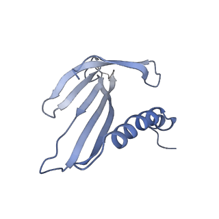 8709_5vlz_CN_v1-5
Backbone model for phage Qbeta capsid