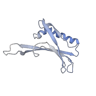 8709_5vlz_DA_v1-4
Backbone model for phage Qbeta capsid