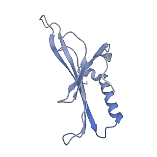 8709_5vlz_DD_v1-4
Backbone model for phage Qbeta capsid