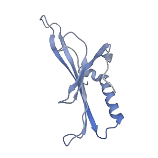 8709_5vlz_DD_v1-5
Backbone model for phage Qbeta capsid