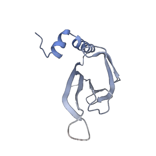 8709_5vlz_DE_v1-5
Backbone model for phage Qbeta capsid