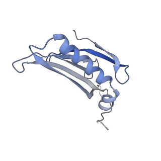 8709_5vlz_DF_v1-4
Backbone model for phage Qbeta capsid