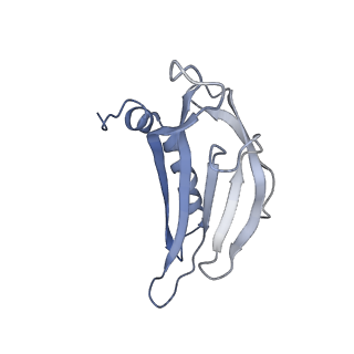 8709_5vlz_DG_v1-4
Backbone model for phage Qbeta capsid