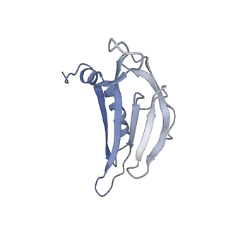 8709_5vlz_DG_v1-5
Backbone model for phage Qbeta capsid