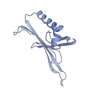 8709_5vlz_DH_v1-4
Backbone model for phage Qbeta capsid