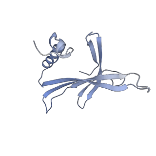 8709_5vlz_DJ_v1-4
Backbone model for phage Qbeta capsid