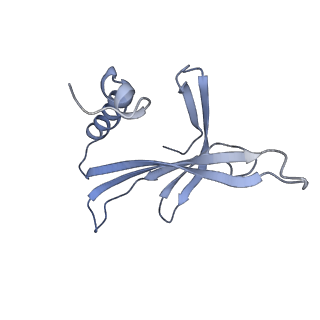 8709_5vlz_DJ_v1-5
Backbone model for phage Qbeta capsid