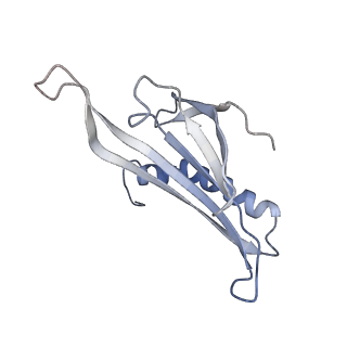 8709_5vlz_DL_v1-4
Backbone model for phage Qbeta capsid