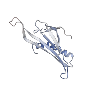 8709_5vlz_DL_v1-5
Backbone model for phage Qbeta capsid